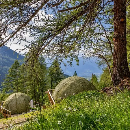 Alpin D'hôme