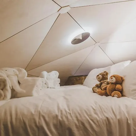Alpin D'hôme Hotel 3*