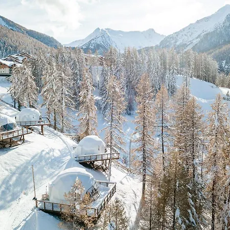 Hotel Alpin D'home & 3*